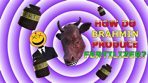 fallout 4 fertilizer|fallout 4 brahmin fertilizer.